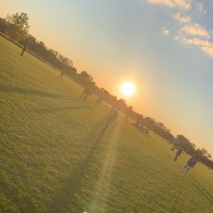 Meet your Posher, Tony